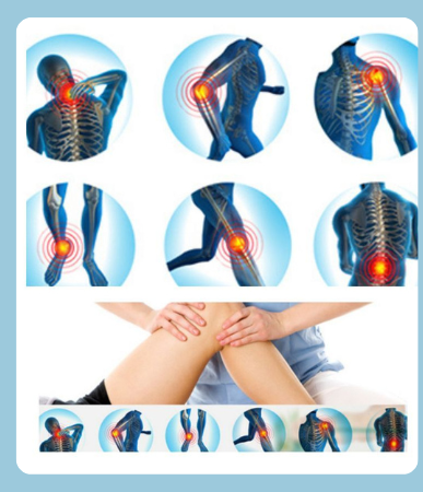 Expert Chiropractic Treatment